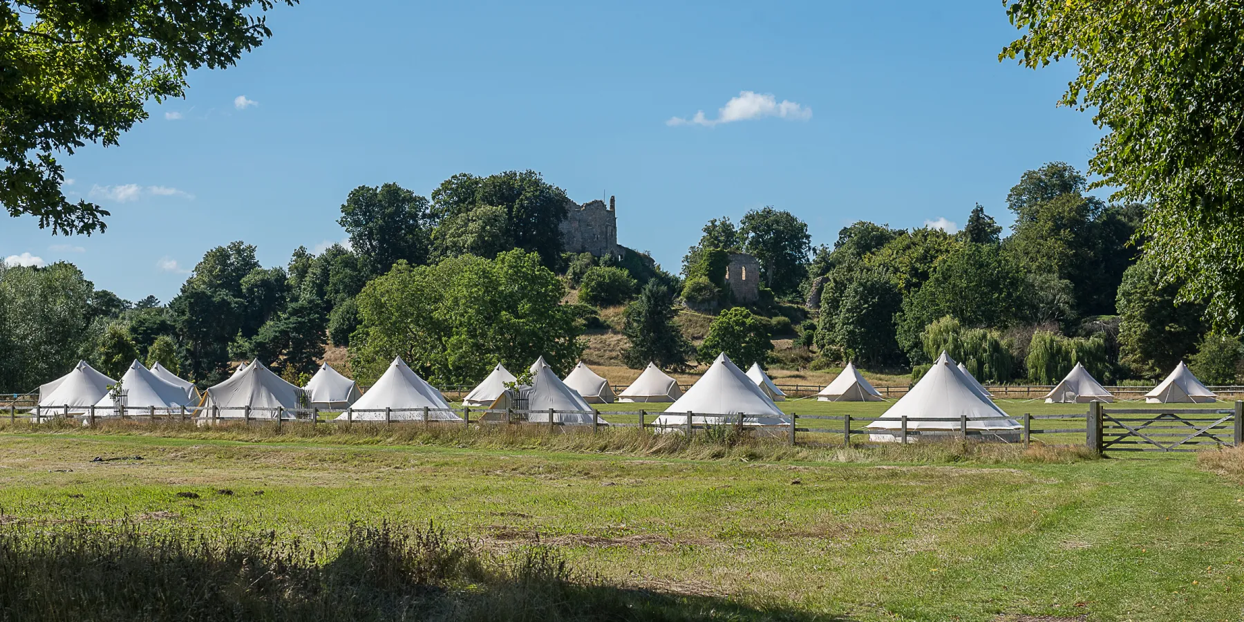 A village of bell tents pitched across a parkland field on a sunny day