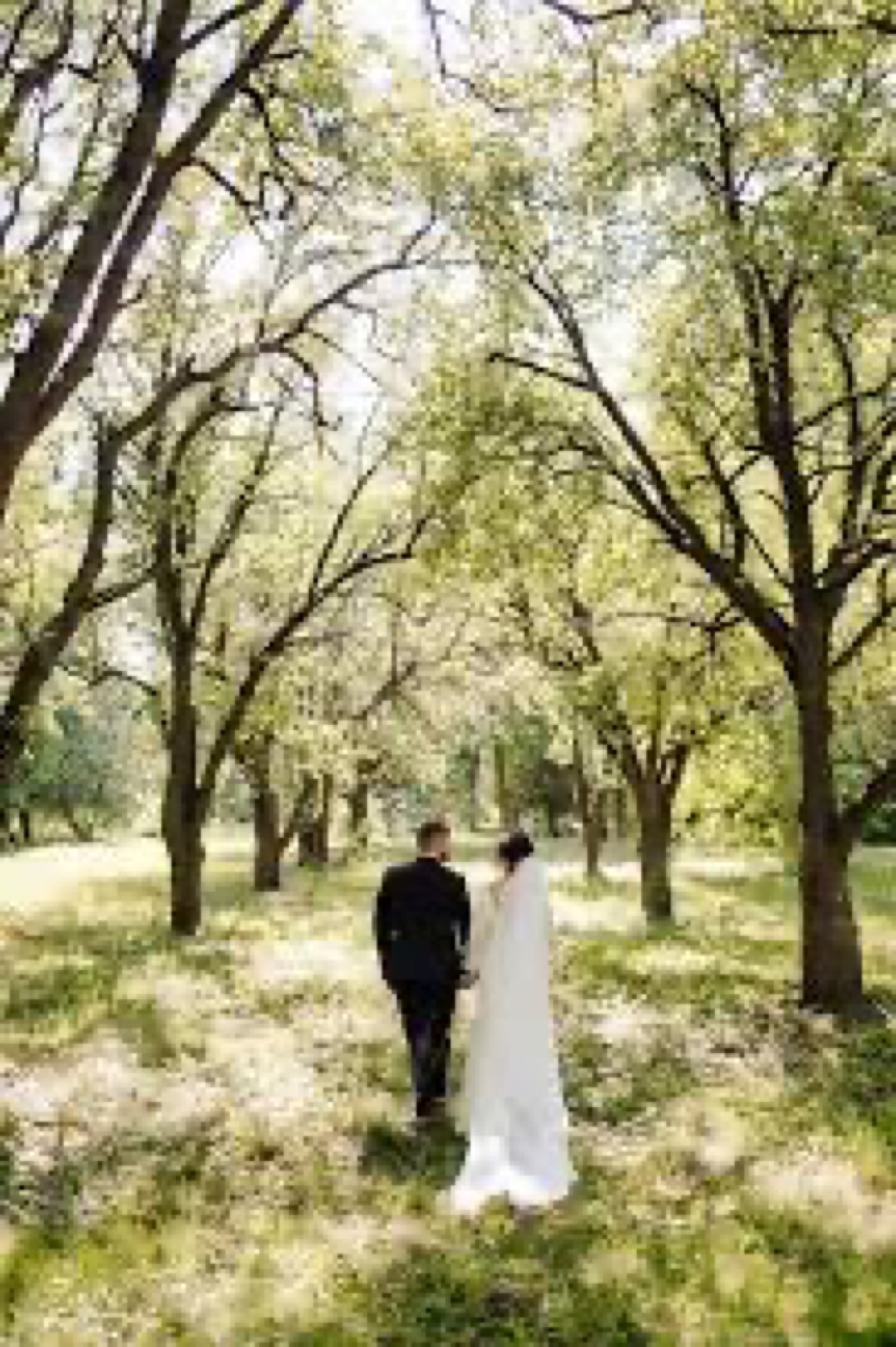 A couple walking through dappled woodland