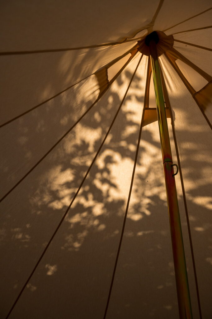 Bell tent in early morning light