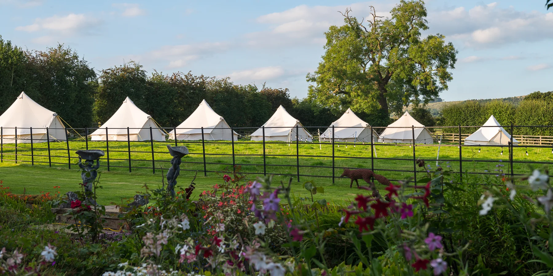 A row of white bell tents in a field at golden hour, wildflowers in the foreground