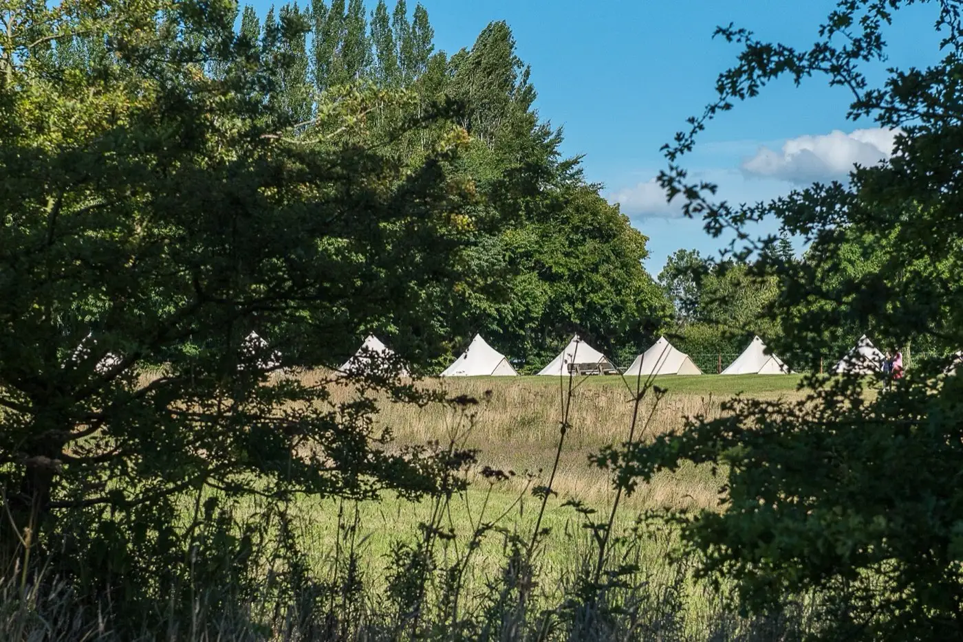 Row of bell tents seen through the trees